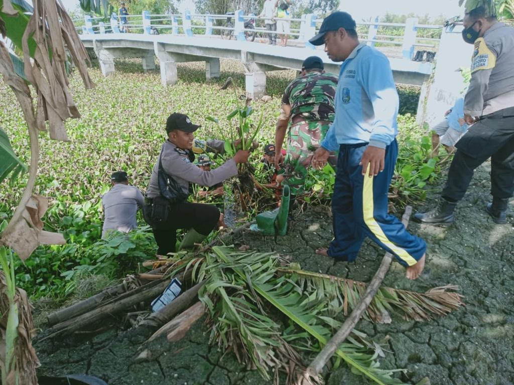 Polisi Lamongan Kerja Bakti Bersihkan Eceng Gondok