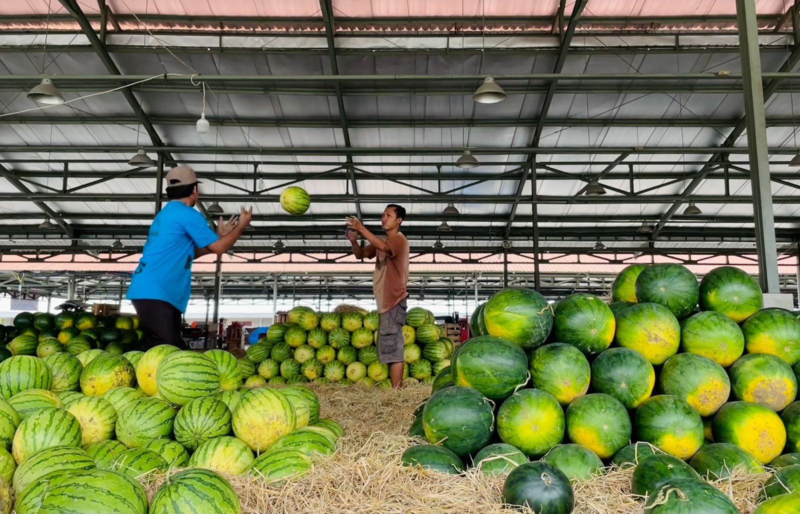 Keamanan Terjamin, Pedagang Senang Jualan di Pasar Induk Surabaya Sidotopo