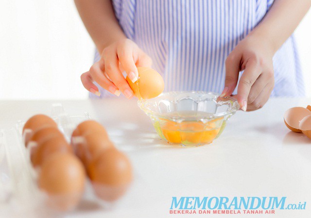 Disnak Jamin  Telur Ayam Aman dari Dioxin