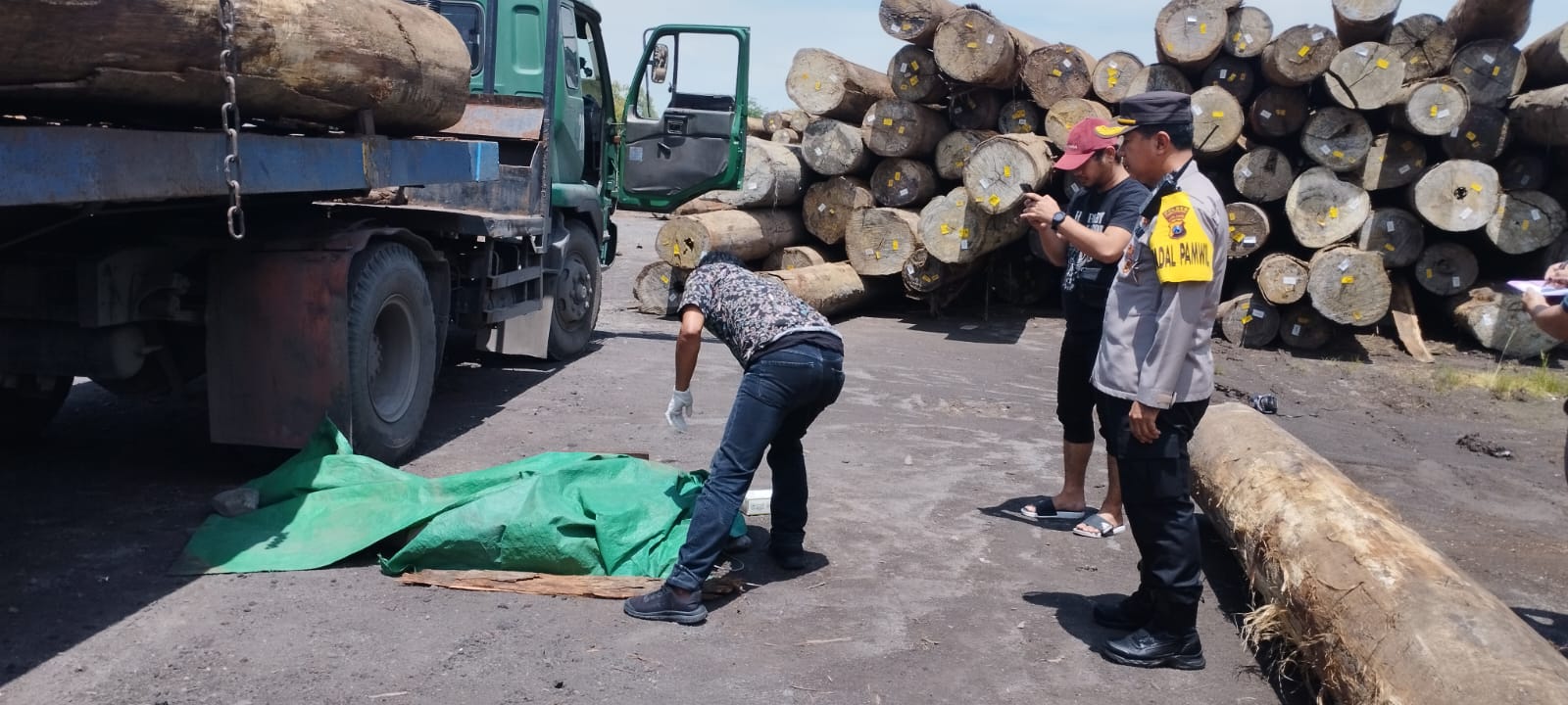 Bongkar Muat, Sopir Truk Asal Gresik Tewas Tertimpa Kayu Gelondongan 7 Meter