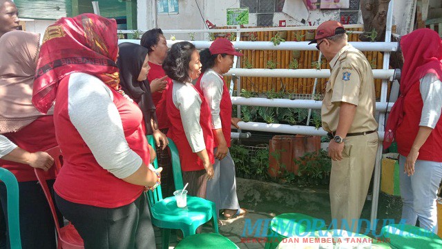 Kelurahan Gebang Putih Menuju Kampung Hidroponik